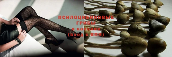 2c-b Абаза