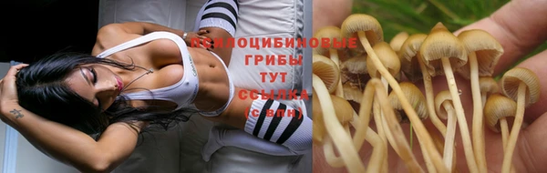 MESCALINE Арсеньев