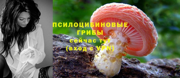 2c-b Абаза